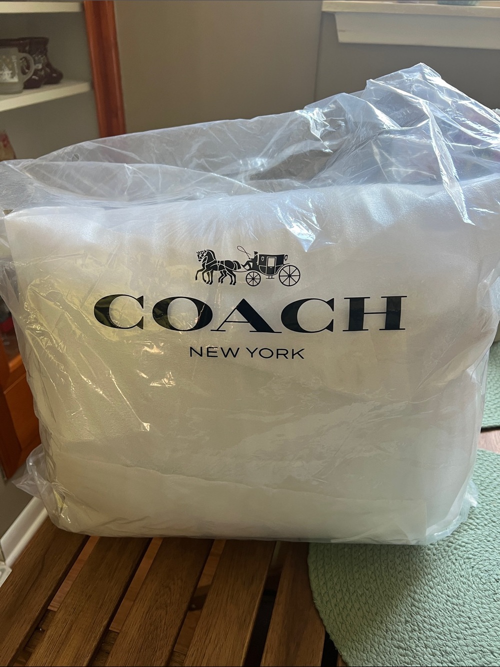 Coach Signature Canvas Tote